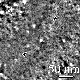 [Surface steps]