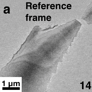 Images of a DyScO3 sample bending when exposed to an electron beam.